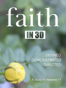 Faith in 3D 3x4_